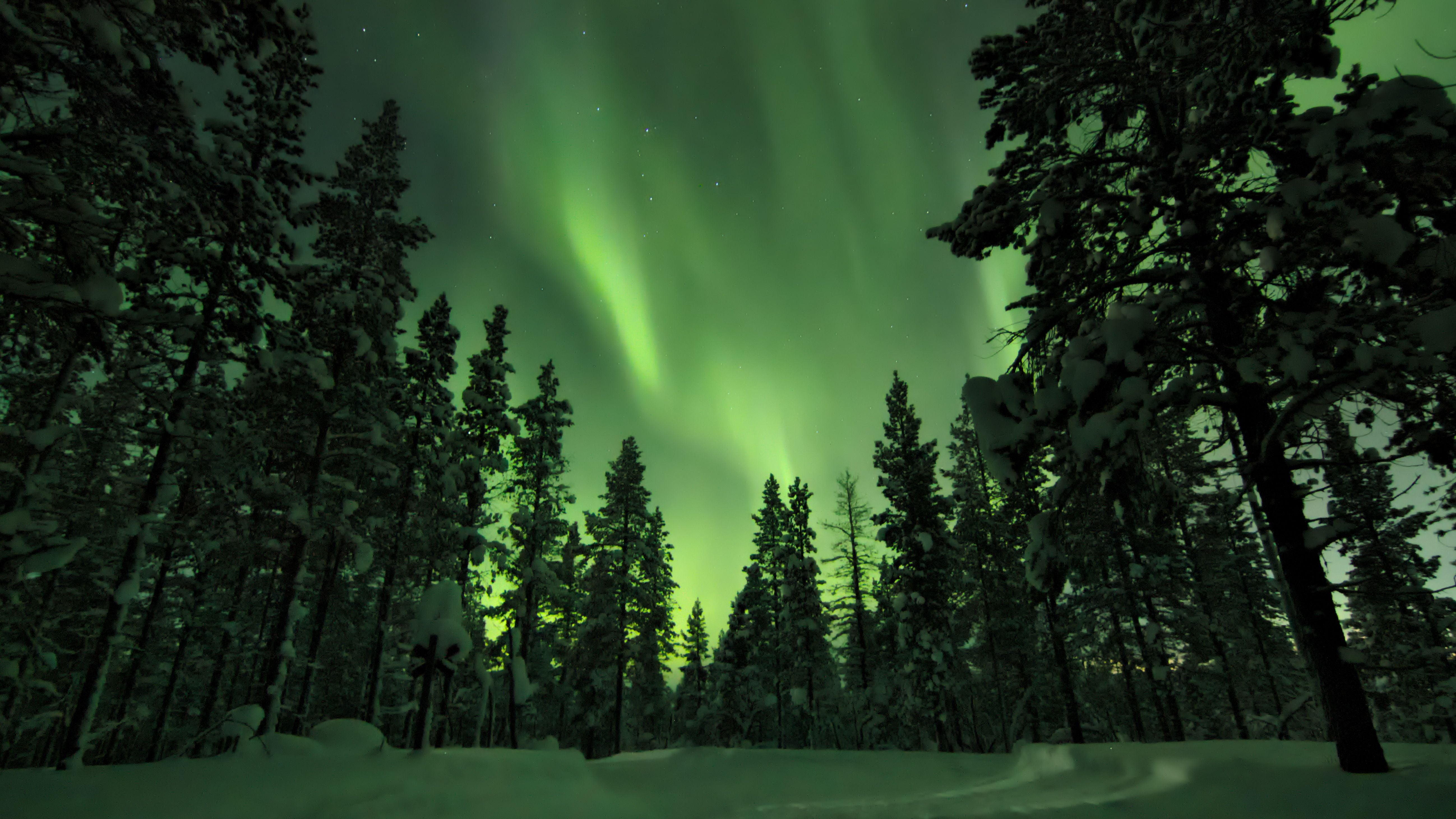 Green Northern Lights in Scandinavia