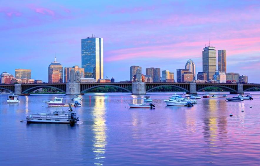 Boston Filler Pic