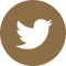 Twitter Icon