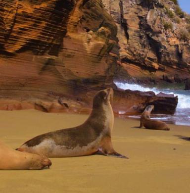 Galapagos Island
