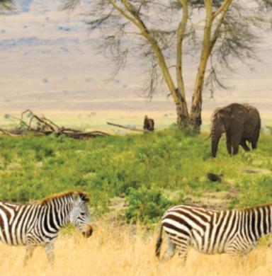 Tanzania